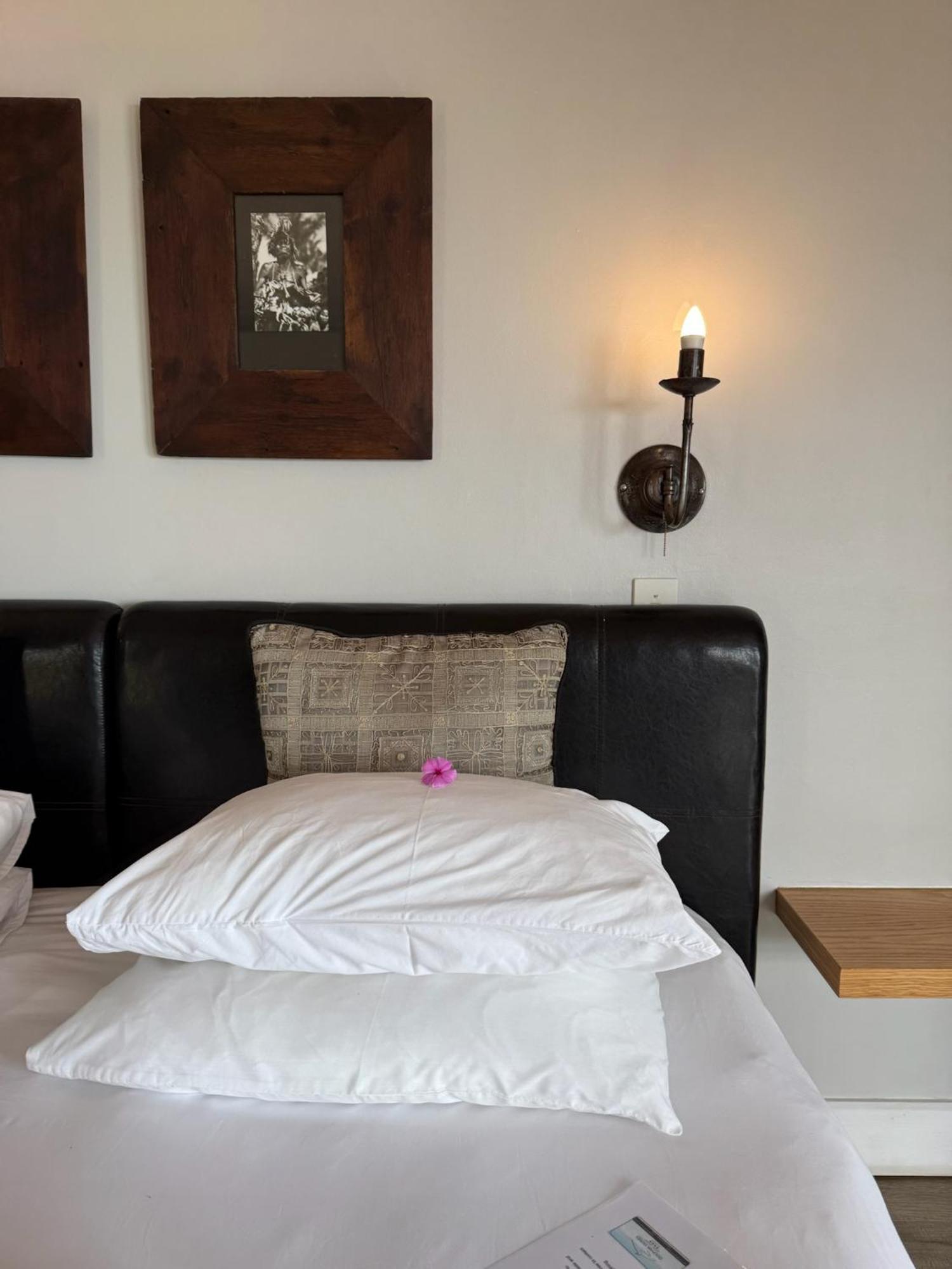 Wildernis Dolphin Dunes Guesthouse מראה חיצוני תמונה